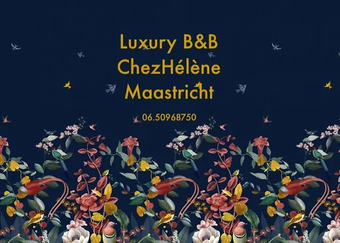 بيت ضيافة Chez Helene Luxury